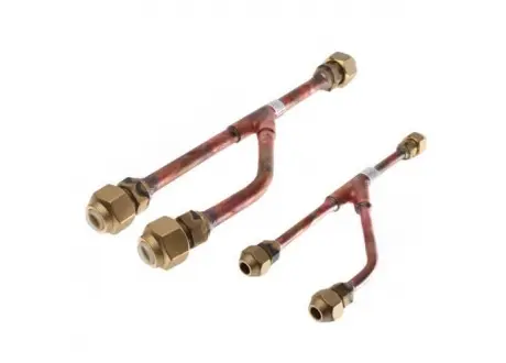 [A0003200] PMBL5620.ENCXLEU Branches LG